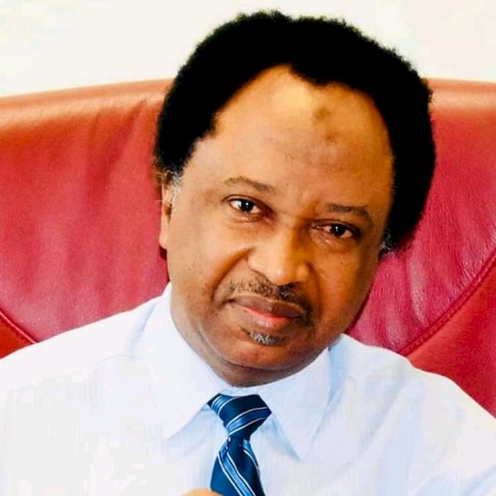 Nigerians Needs A Leader like Senator Shehu Sani_Amb.Abdul Bonga