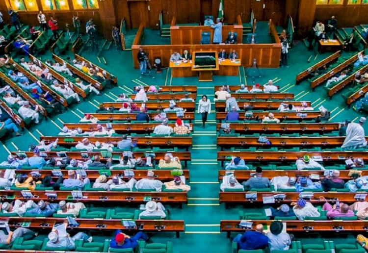 Why Reps Stopped Commencement Of FG’s 774,000 Jobs