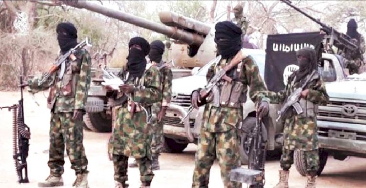 Boko Haram Kills 3 Villagers, Loots Livestock Near Maiduguri