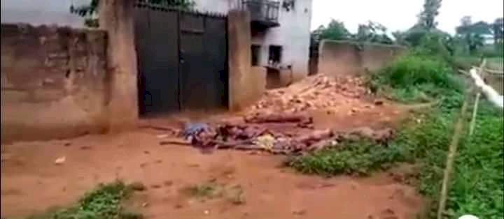 JUST IN: IPOB militants slaughter 19 Fulani herders in Anambra
