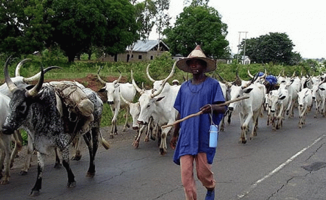 We Are Not Harbouring Criminals – Northern Community In Abia