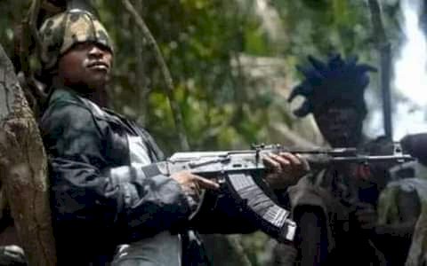 BREAKING: Gunmen kill 7 herders in Plateau