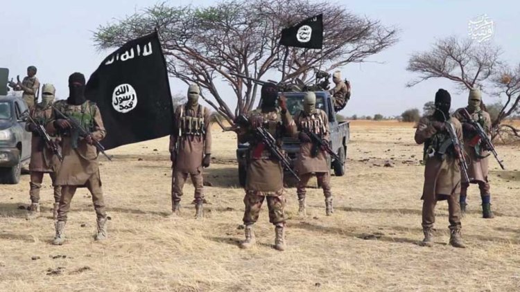 US confirms Boko Haram, bandits working together to blackmail Buhari regime