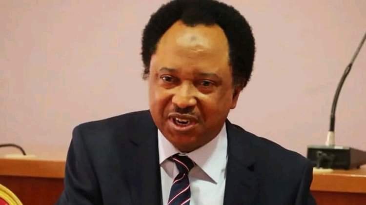 I Don’t Want To Faint From Watching Tiwa’s Leaked Tape – Shehu Sani