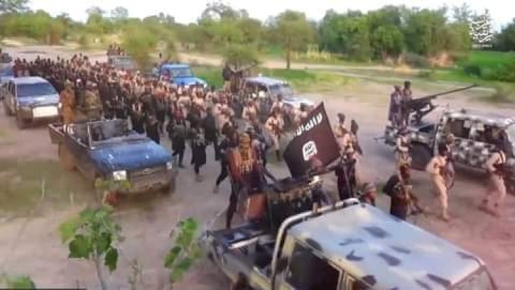 ISIS Fighters From Libya, Syria In Nigeria As ISWAP Plans Fresh Attacks