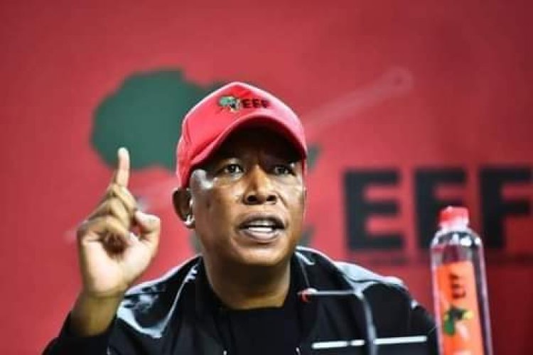 Julius Malema tears into Chakwera : Says he over promise Malawians