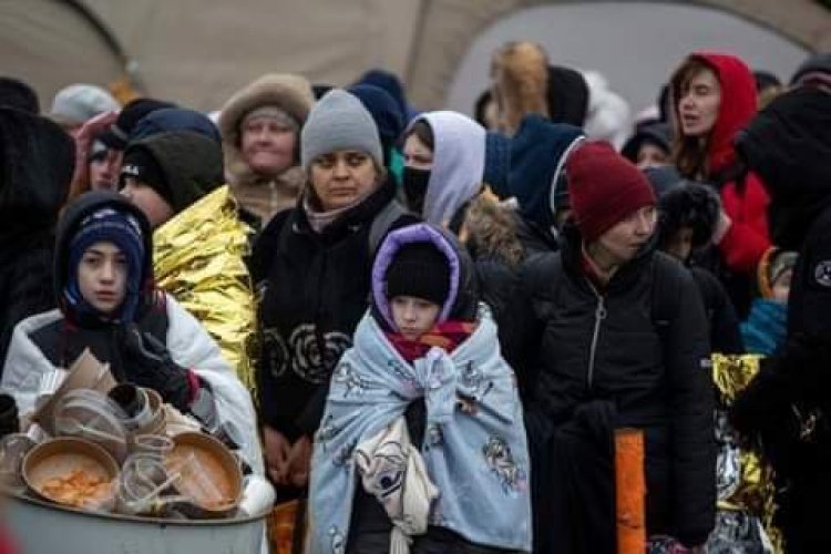 Over 43,000 British Households To Host Ukrainian Refugees