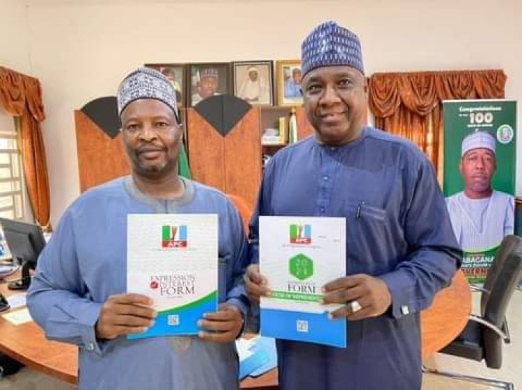 Borno’s former commissioner of agriculture picks nomination form