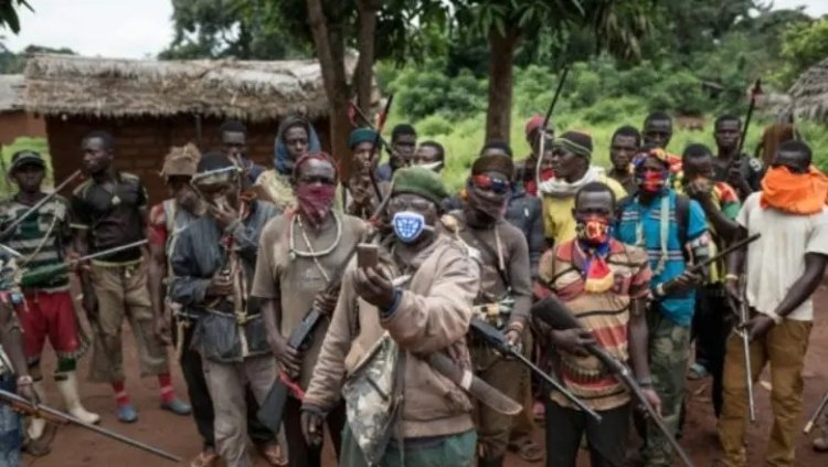 Cameroonian Militants Invade Nigeria, Gun Down 20