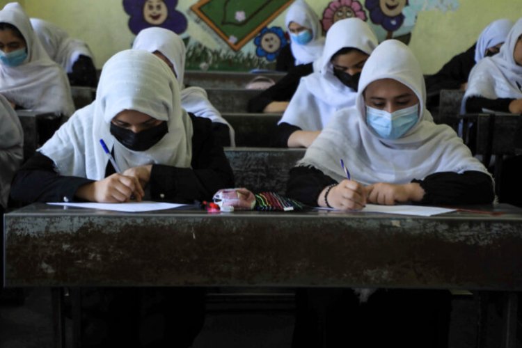 Taliban Ban Women From Working In National, International NGOs