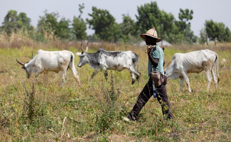 US urges Nigerian authorities to investigate air strike killing of herders