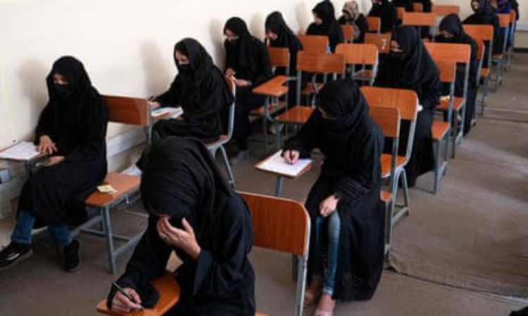 Afghanistan mulls allowing female students to attend universities – Official