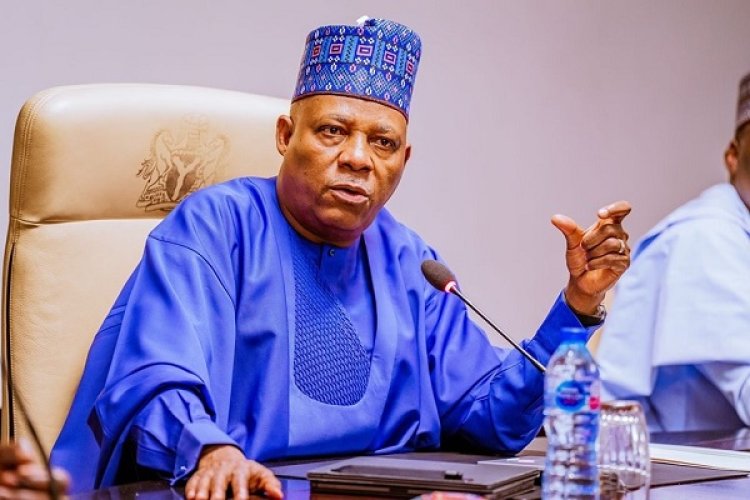 Shettima: We’re Facing Challenges