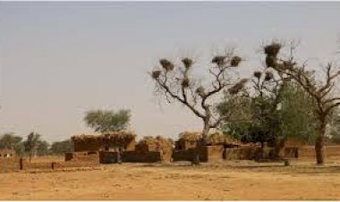 Mali: More than 800 displaced after attack on Sobanou-Dah and Djoumba-Peulh villages