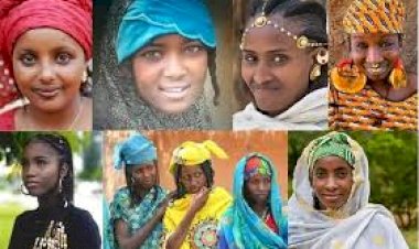 THE ORIGIN OF THE TURUDBE` FULANI PART 1