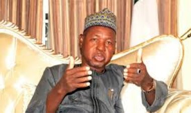 Border drill: Governor Masari warns Customs against killing people in Katsina