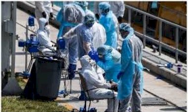 COVID-19: US asks doctors, nurses around the world to apply for visas