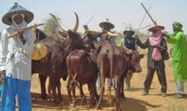 Plight of Fulani herders in FCT