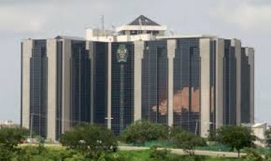 CBN resumes dollar sales for SMEs, school fees