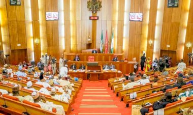 Senate Awaiting Details Of Buhari’s N850bn Domestic Loan Request