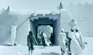 The Nigerian Elites and the Ordeal of National Health Care