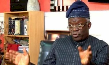 Kashamu: Stop Insulting Our Collective Intelligence, Falana Warns Obasanjo