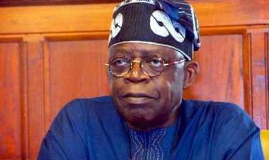 The politics of Tinubu obsession