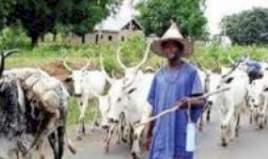 99 Fulani killed, 122 missing in Zango Kataf, Kauru crises’