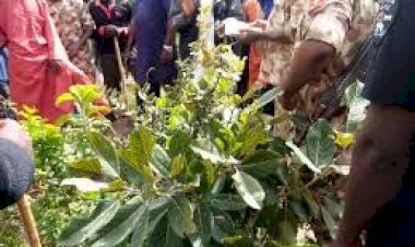 Can Peace Be Attainable Between The Fulani & Rigwe people In Bassa?