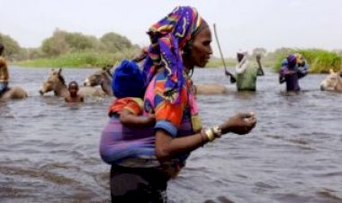 When the Fulani, stigmatized, make their voices heard