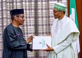Lockdown Nigeria For Two Months To Stop COVID-19, Sagay Tells Buhari