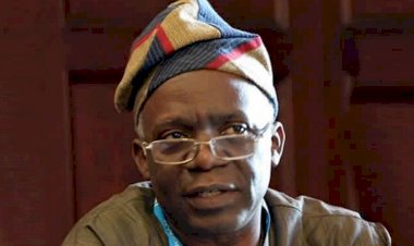 Kashamu: Stop Insulting Our Collective Intelligence, Falana Warns Obasanjo