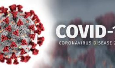 Gambia; Coronavirus Cases Top 2,000 As 244 New Cases Are Seen