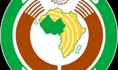 ECOWAS: The eternal late train