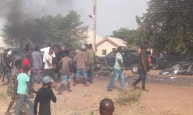 Hoodlums Attack Herdsman, Kill 27 Cows In Kogi