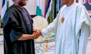 Buhari: what earned Adesina second term