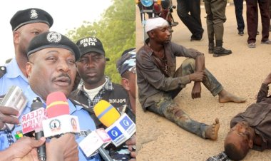 Police kill 15 bandits, arrest 50, rescue 20 victims, recover 220 cattle in Katsina