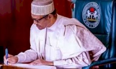 Buhari appoints Mairiga Executive Secretary Federal Loan Board