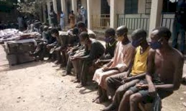 Police kill 15 bandits, arrest 50, rescue 20 victims, recover 220 cattle in Katsina