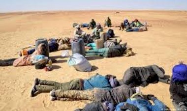 Scores of Migrants Abandoned in the Sahara Desert.