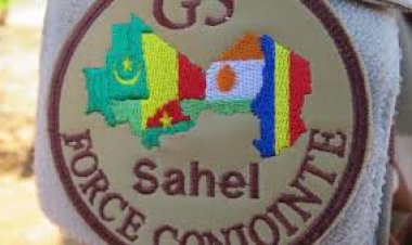 Mali: a terrorist base in the center dismantled by a Malian company of the G5-Sahel Joint Force