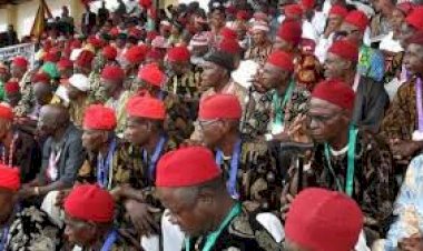 Create More States, Local Councils in South-East, Ohanaeze Tells Buhari