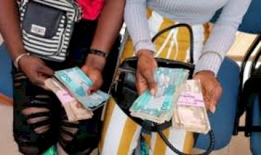 Gambia: D27,000 Each Caps Gambian Women’s Lebanon Getaway