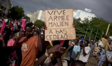 “Each political crisis in Bamako results in an overflow of violence in the Sahel”