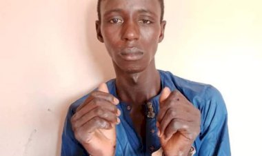 Bandits’ top commander surrenders self, 3 AK 47 guns to Army in Katsina