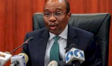 CBN demands details of 12 top Nigerian businessmen, others’ domiciliary accounts