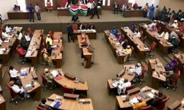 Breaking: EU Delegation, US Embassy, British High Commission And German Embassy Call On Members Of The National Assembly To Vote In Favour Of Draft Constitution