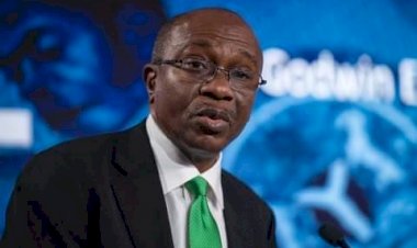 CBN Raises Red Flag over COVID-19 Financing