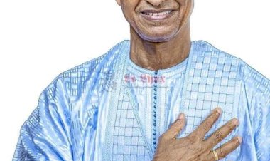 President Cellou Dalein Diallo on the ECOWAS mediation mission ||  UA ||  UN: