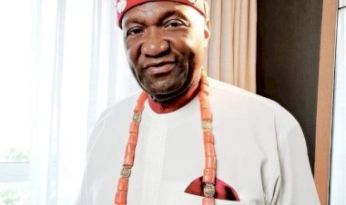 #EndSARS: There are plots to attack, send Igbos out of Lagos – Ohanaeze cries out